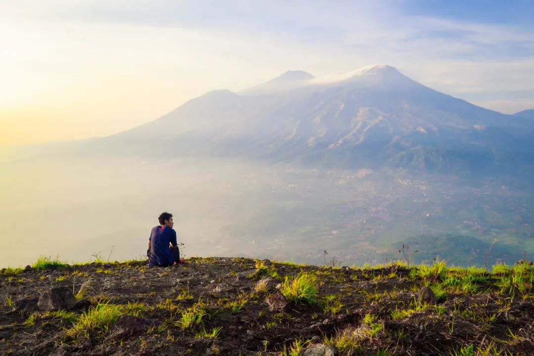鍖楀ぇ鎶㈣鐜板満,娓呭崕鍖楀ぇ鎶㈣