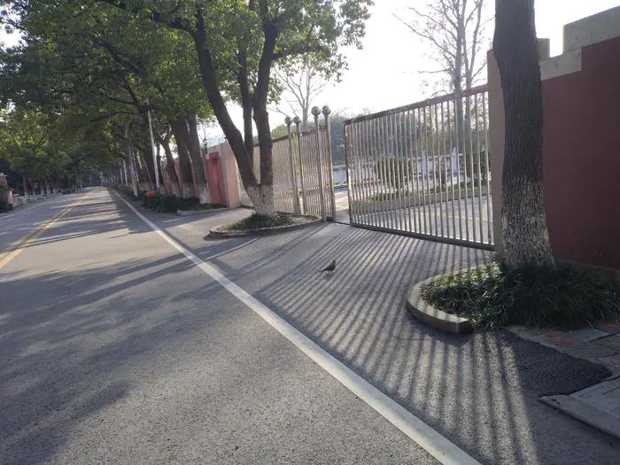 画与景,幼儿长卷画景