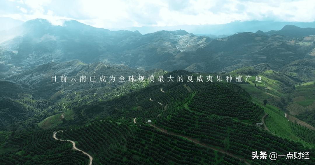 三只松鼠的转型与变革,三只松鼠创业精神和能力