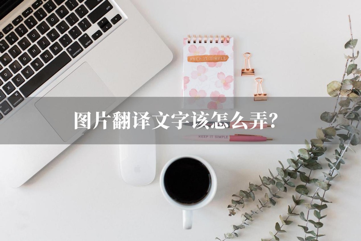 一键翻译图片文字并修改,如何快速翻译图片中的文字信息