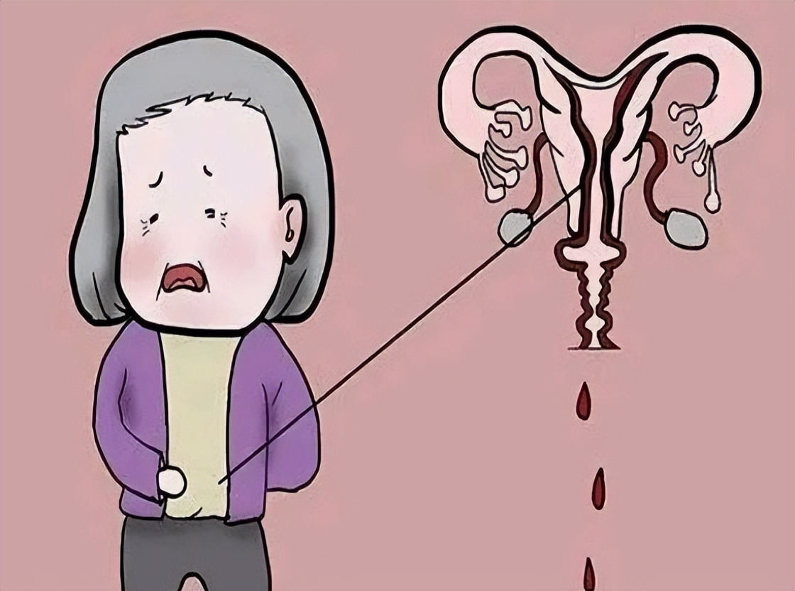 女性最佳绝经年龄范围,女性的最佳绝经年龄