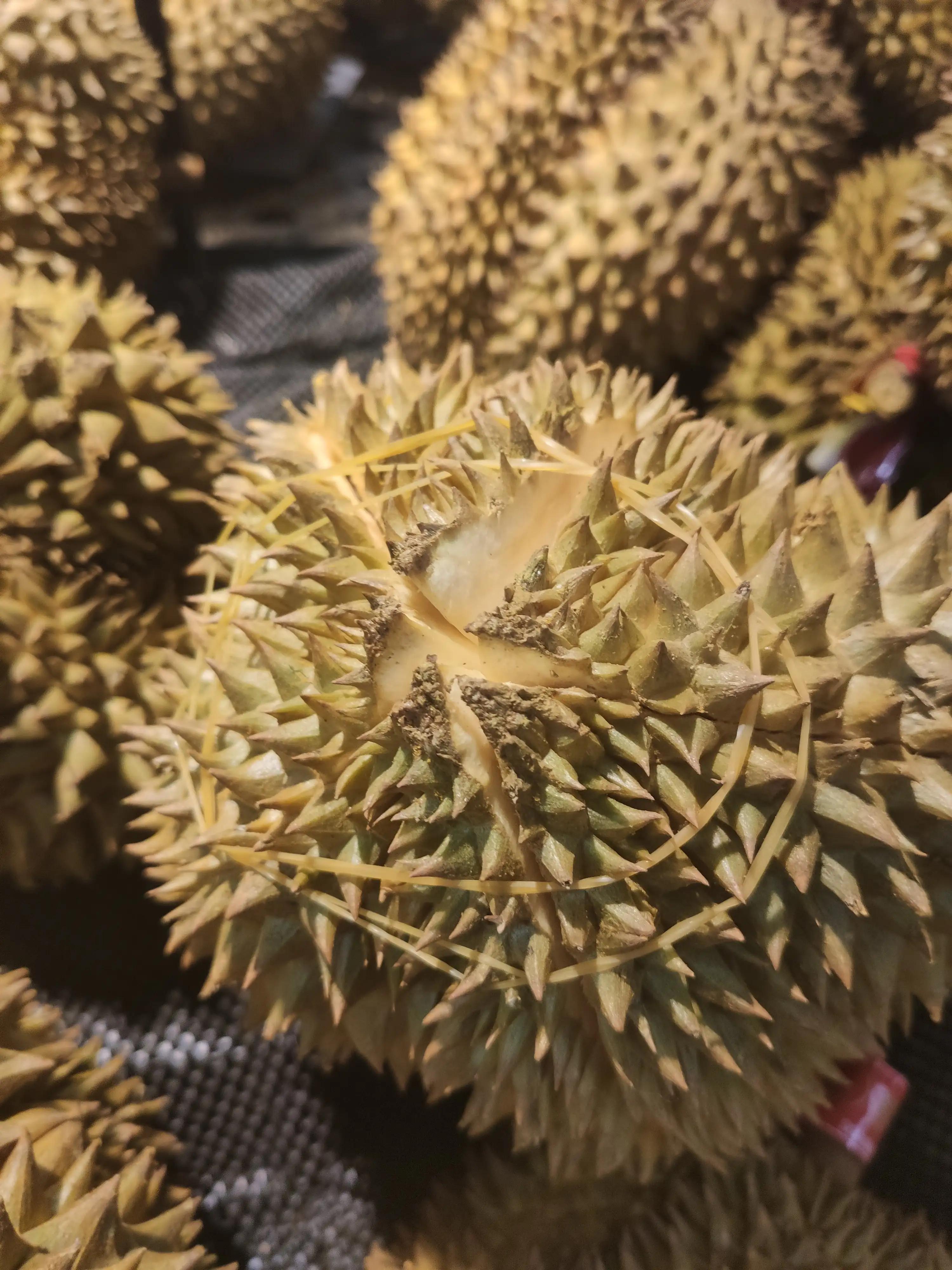 泰国榴莲暴利,泰国卖榴莲有多赚钱