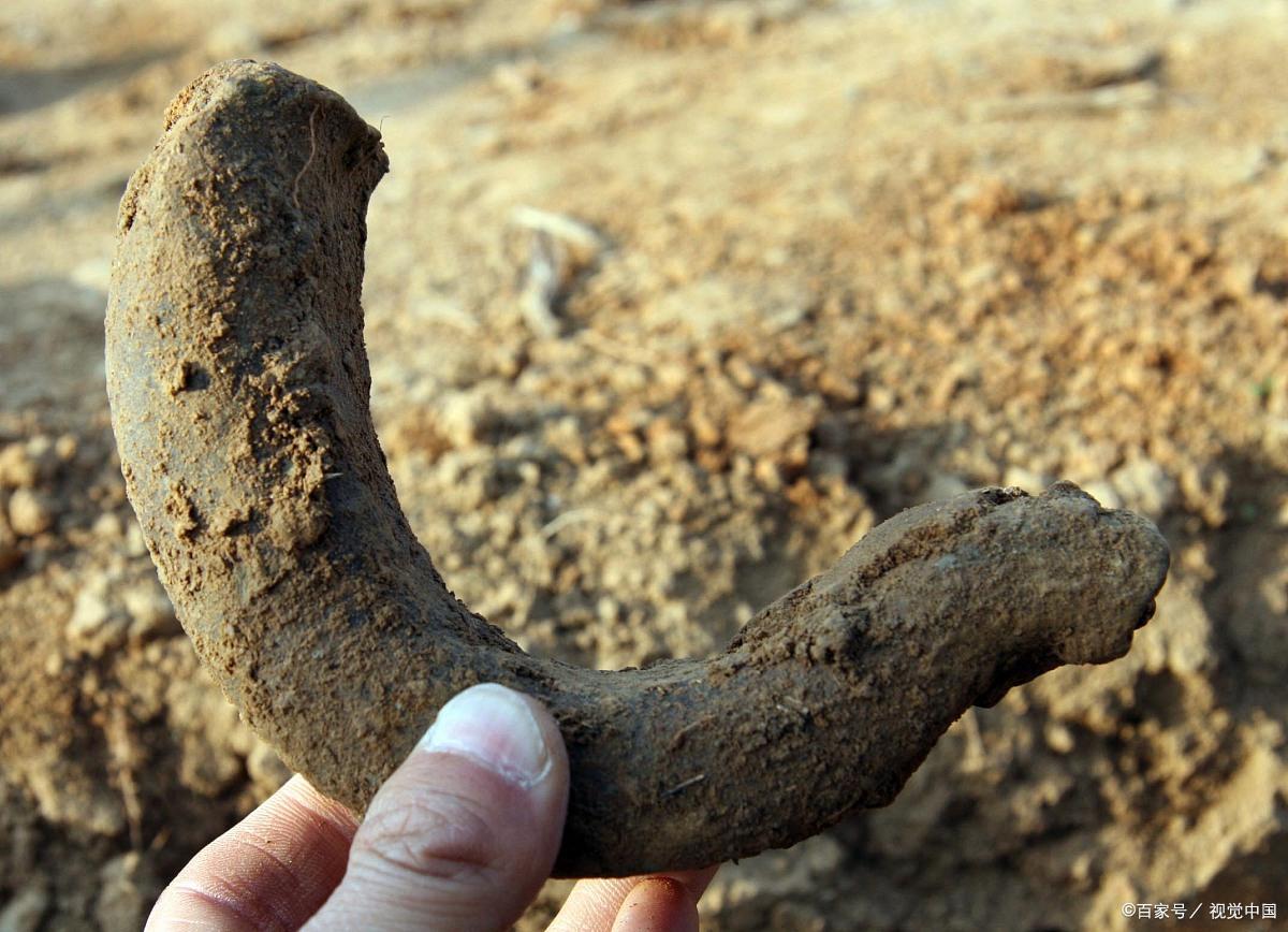 失眠心慌安神日常煲汤,失眠心悸多梦盗汗吃什么药