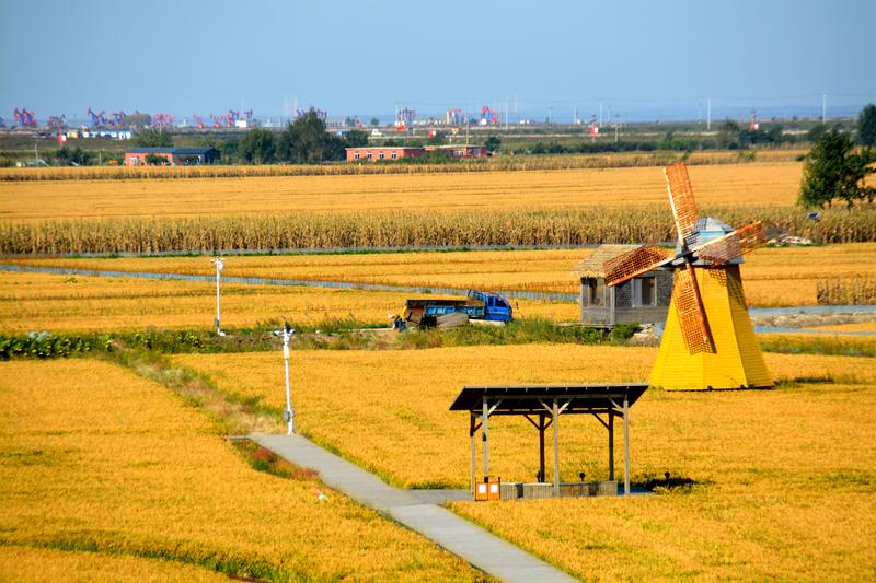 辽宁盘锦在哪个地方,去盘锦旅游哪里好