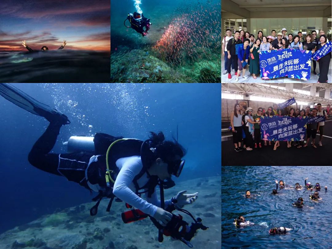 香格里拉野奢民宿,香格里拉野奢度假民宿