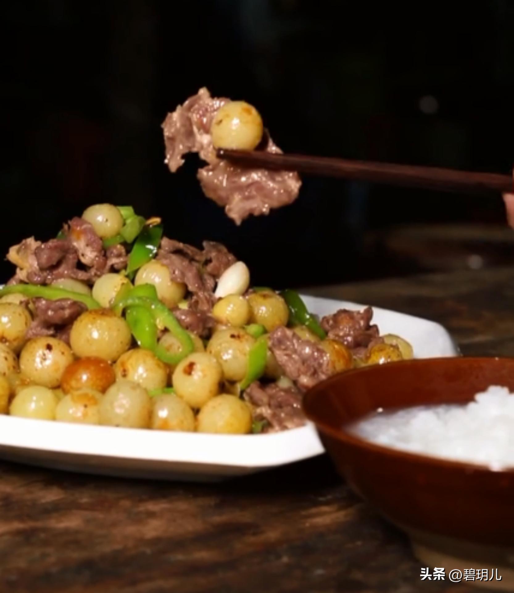 康仔农人和老小孩的最新视频,康仔和老小孩的抖音视频人间城