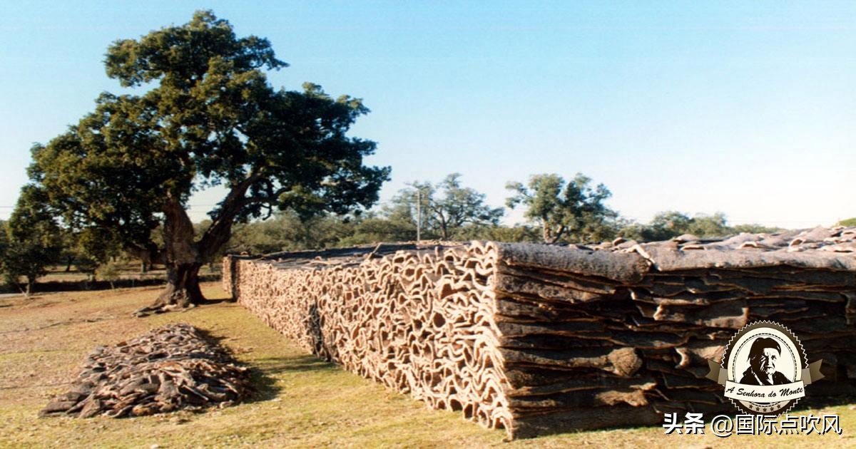 第一个世界霸主葡萄牙,带你看看葡萄牙