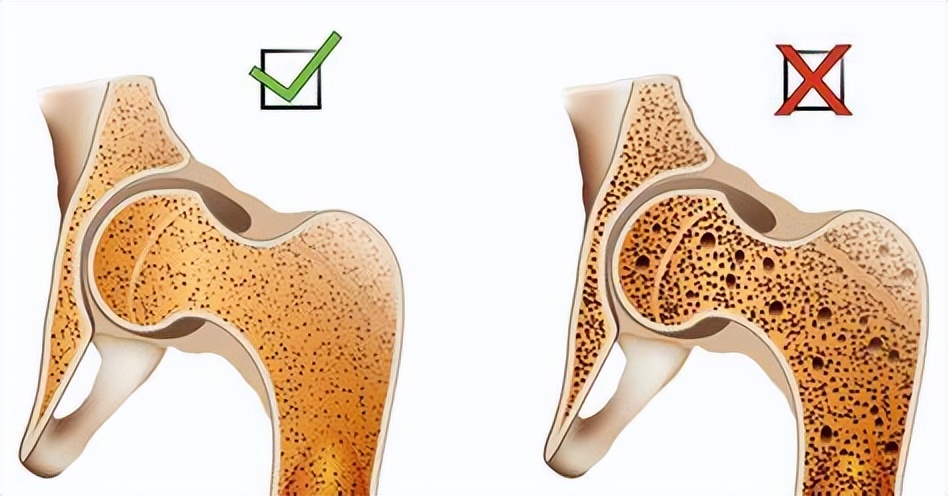 鸡有哪些疾病,鸡有炎症什么表现