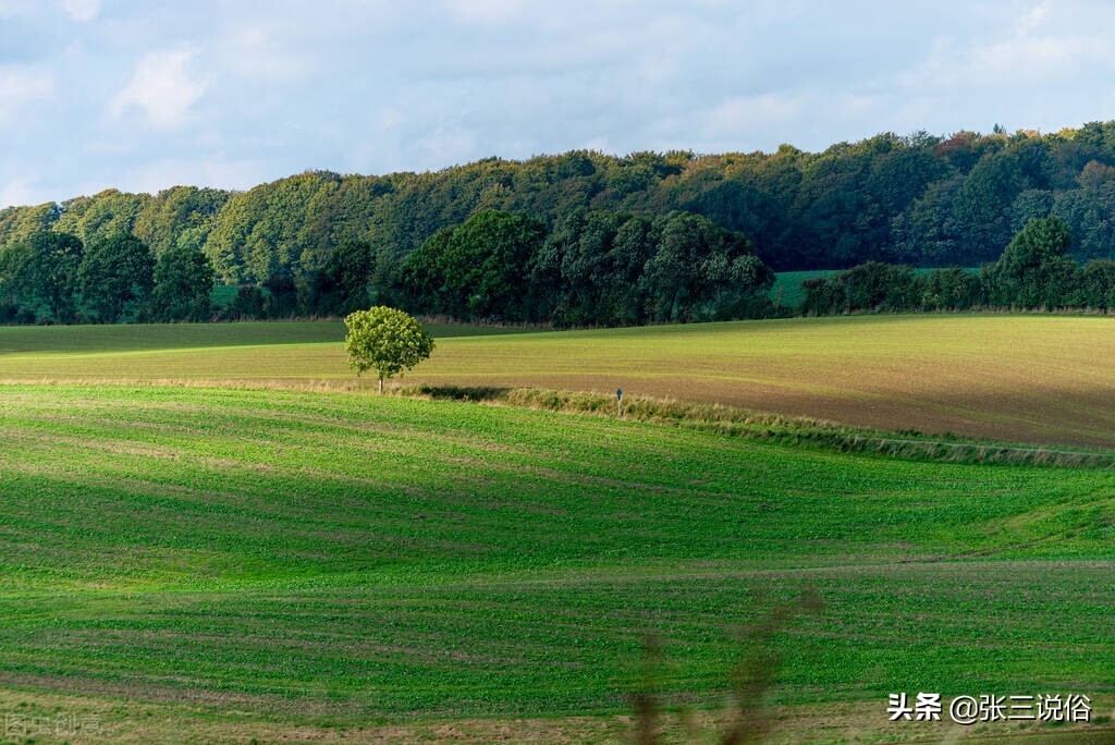 吉人自有天相的征兆,吉人自有天相吉人就是有福气的人