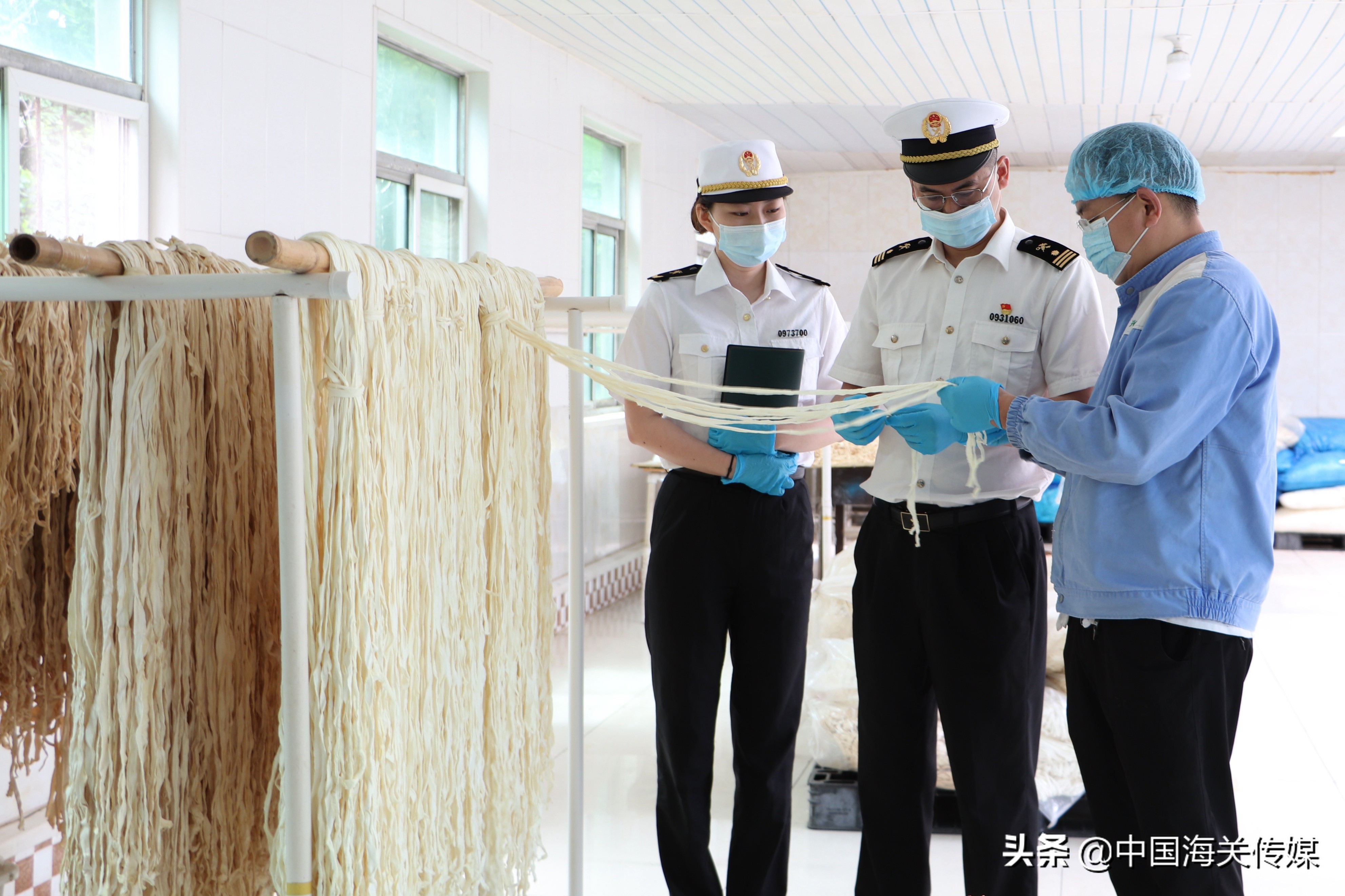 葫芦条产业,葫芦转型成功