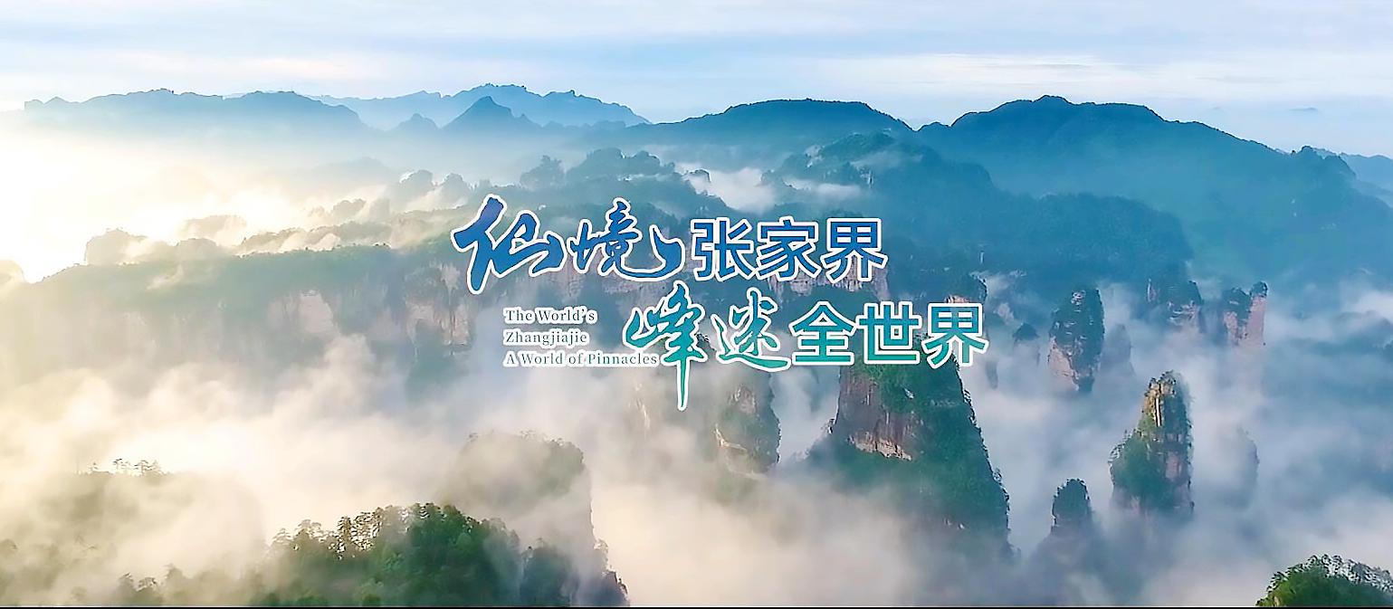 宝石级海纹石,6-12岁儿童必读的海洋书籍