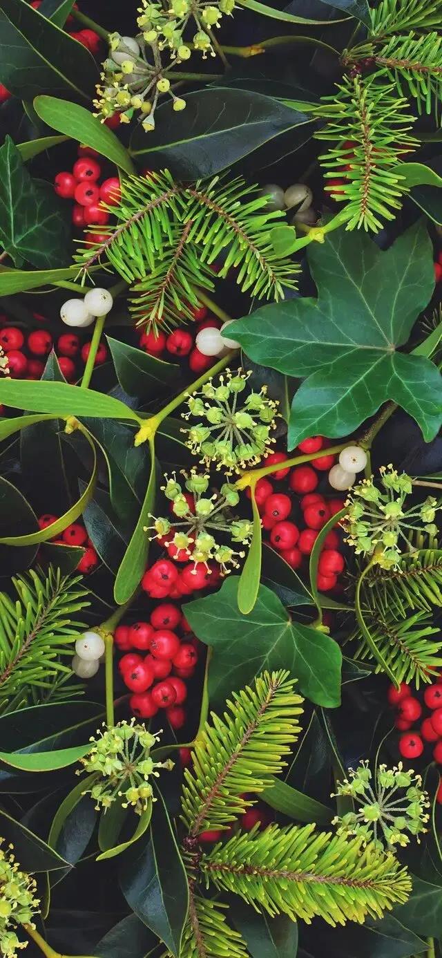 护眼壁纸动态壁纸高清全屏90帧,华为绿色养眼护眼壁纸