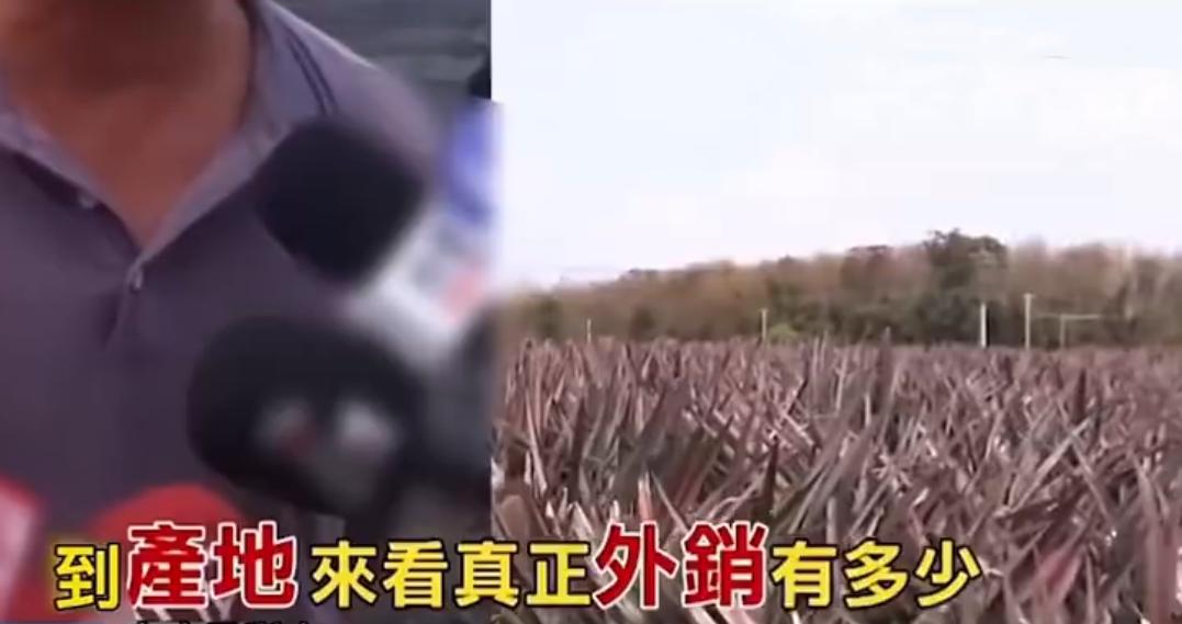 台湾水果商怒斥台当局,台湾凤梨果农斥蔡当局不要乱讲
