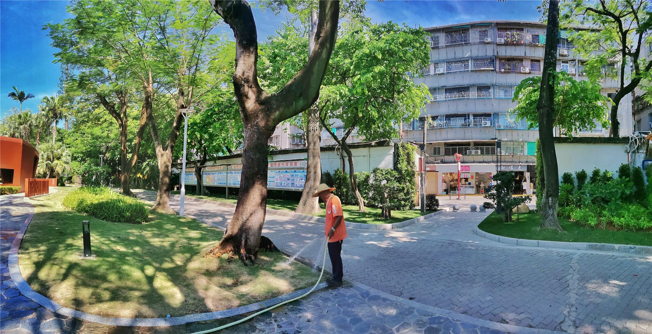 金砂公园的落羽杉红了,金砂公园室内