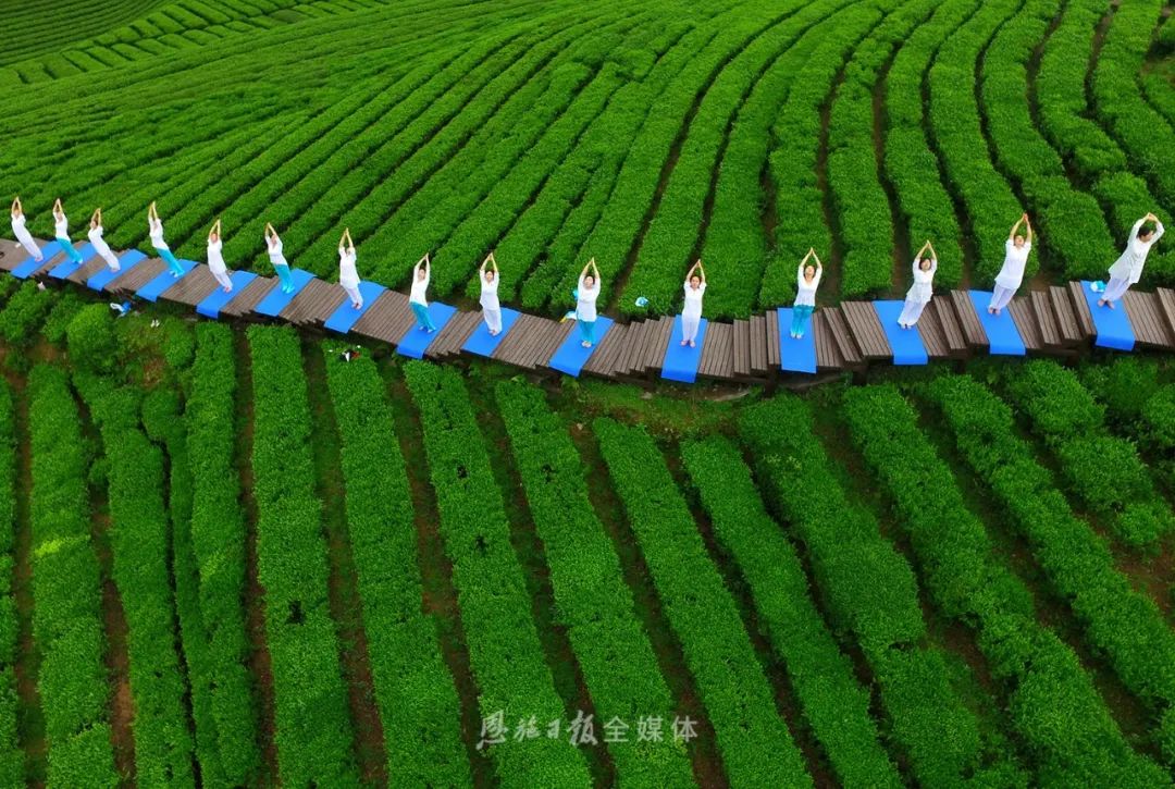 恩施硒茶品牌整合,恩施硒茶功效与作用