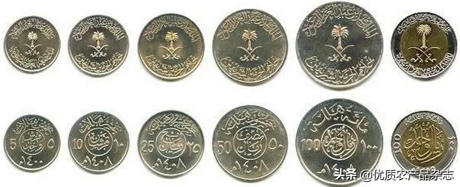 被称为绿色金子的特色蔬菜,被欧洲人称为绿色金子