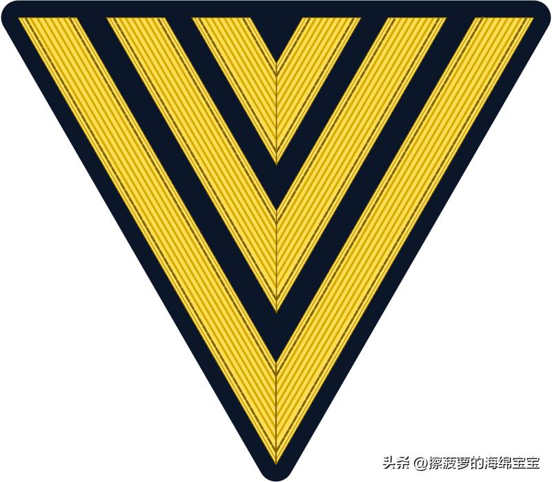 二战德国国防军医疗兵军衔标志