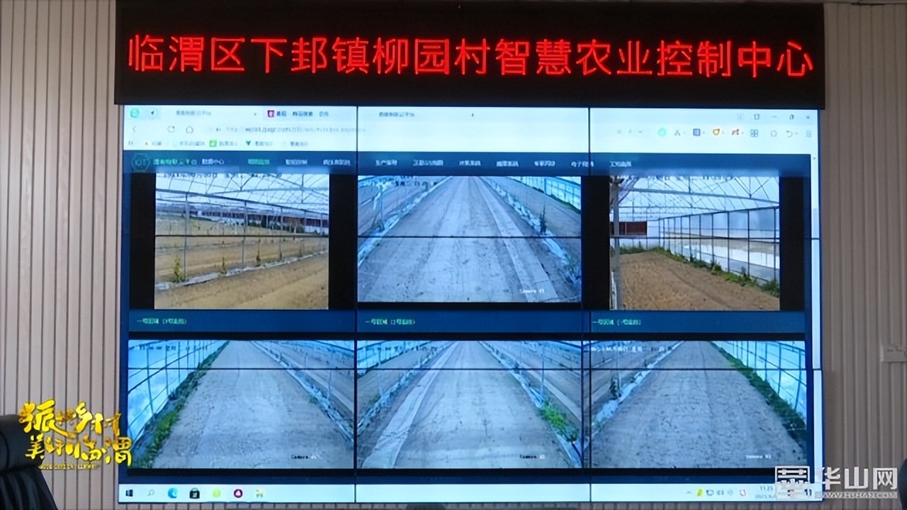 选调生助力乡镇,驻村干部助力乡村振兴