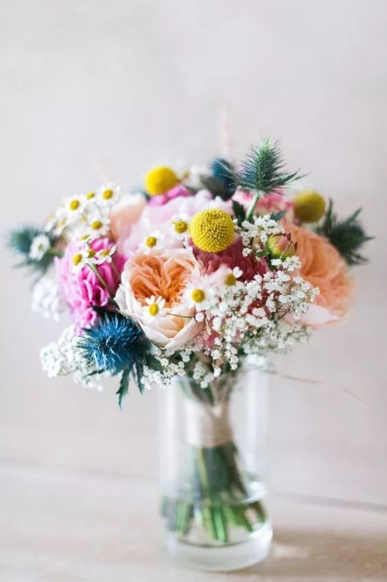 闀垮緱鍍忚冻鐞冧竴鏍风殑妞嶇墿,鍜岃冻鐞冩湁鍏崇殑妞嶇墿