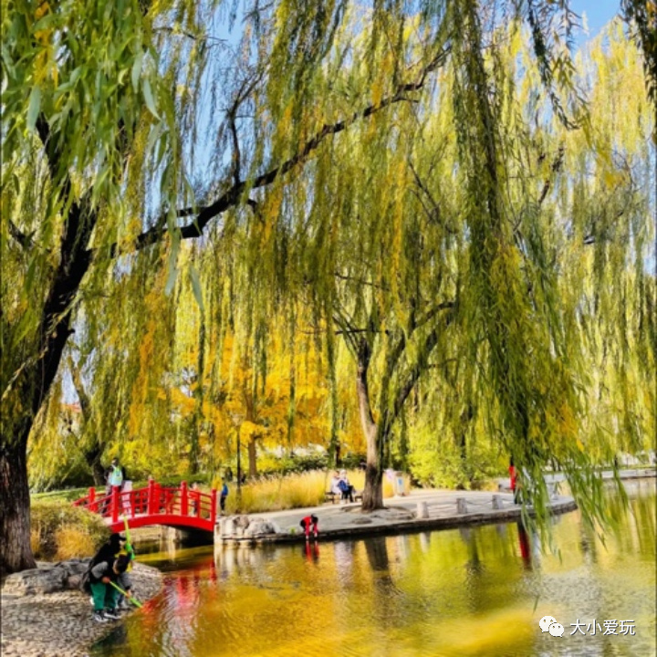 京城赏秋打卡胜地,北京赏秋小众景区