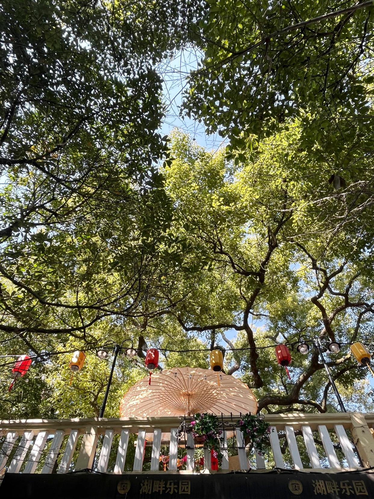 杭州旅游必去的十大景点排行榜,杭州萧山机场附近的旅游景点