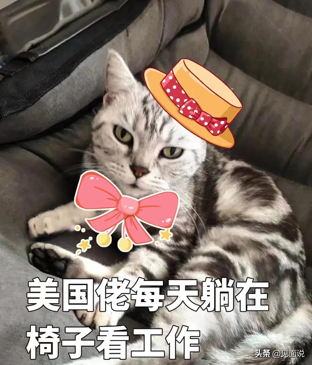 12绉嶅父瑙侀矋楸煎彛鎰熷拰鐗圭偣,12绉嶅父瑙侀矋楸煎彛鎰熷拰鐗硅壊