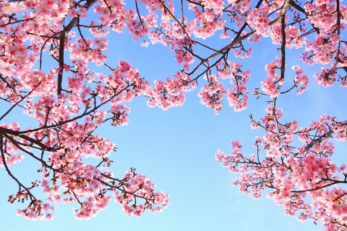 当别人不喜欢你就不要再追了原版,当别人不喜欢你就不要再追了