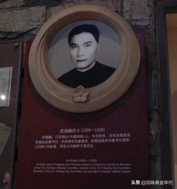 10位港星出身大比拼蔡少芬,十位港星