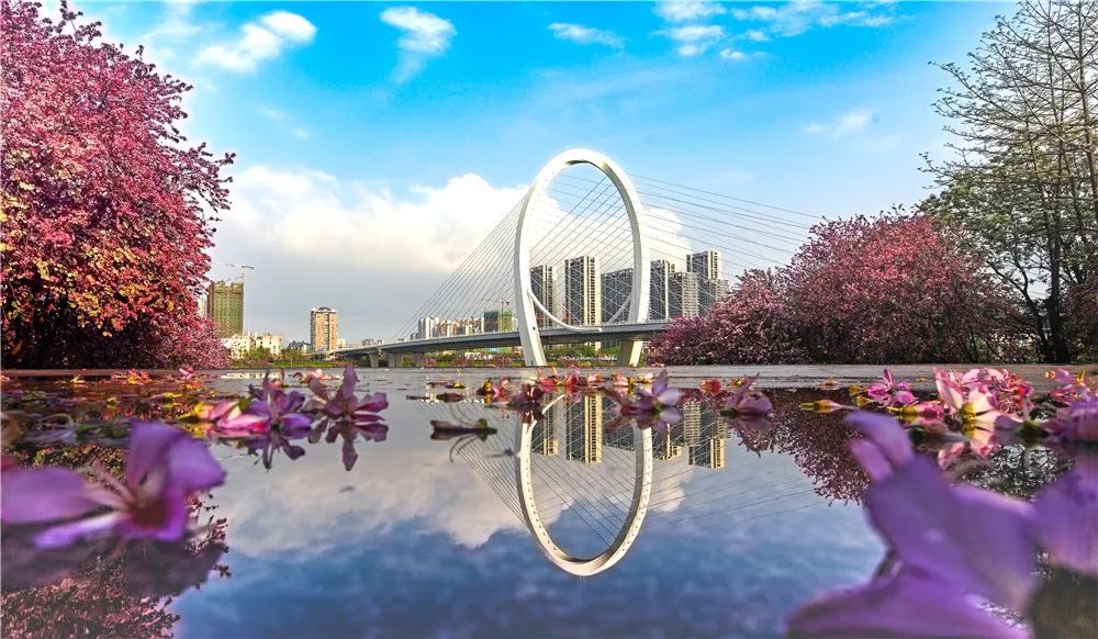 春天，我想到一座城，吃粉粉，看粉粉