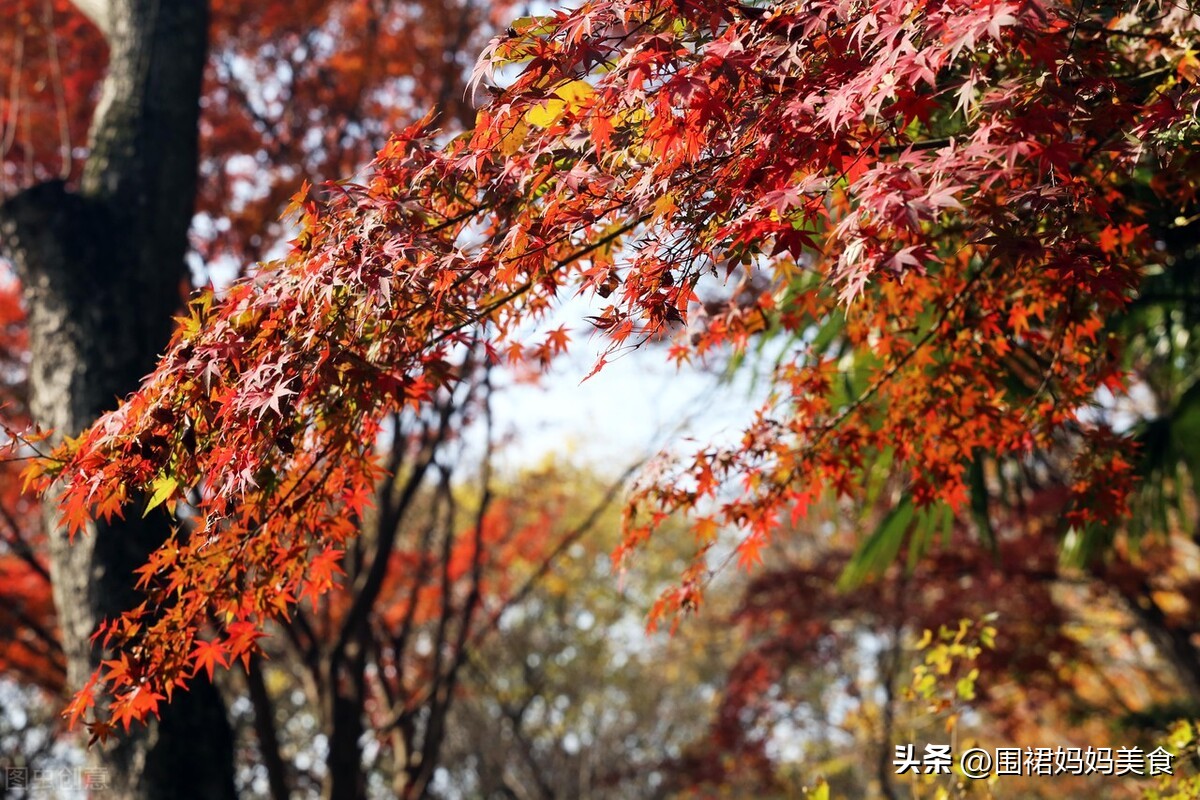 冬天晚饭吃什么好吃又简单又营养,天冷晚餐吃什么