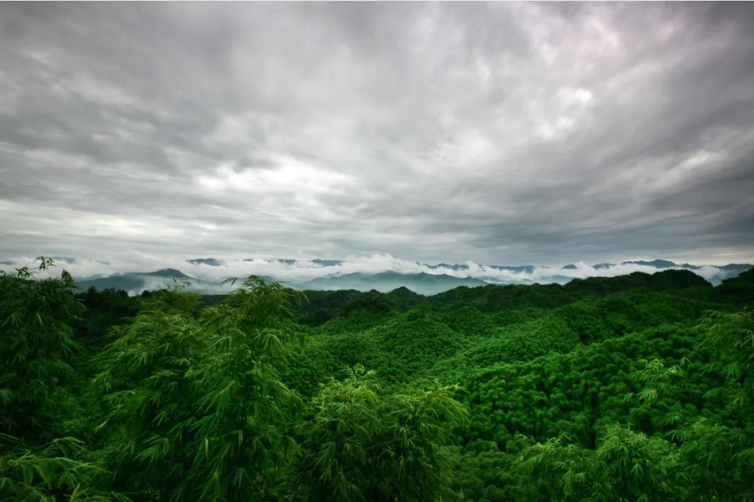 超燃多巴胺彩虹跑,多巴胺超燃视频