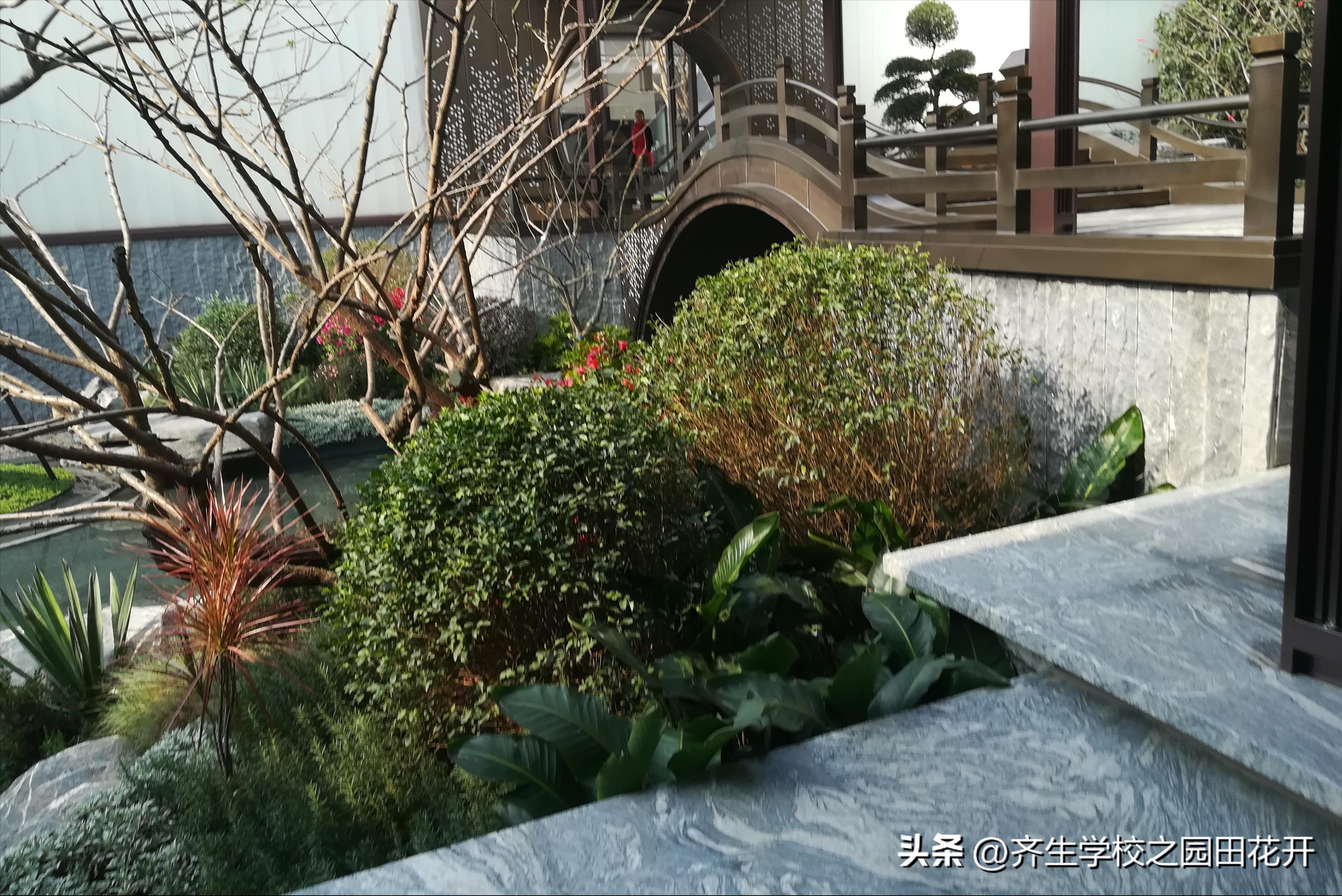 涨知识园林景观设计风格欣赏,园林景观设计的造景手法