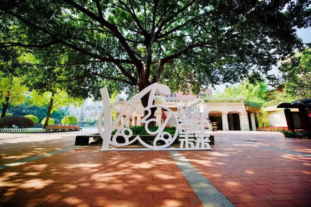 成都私立小学五朵金花,成都小学新五朵金花排名