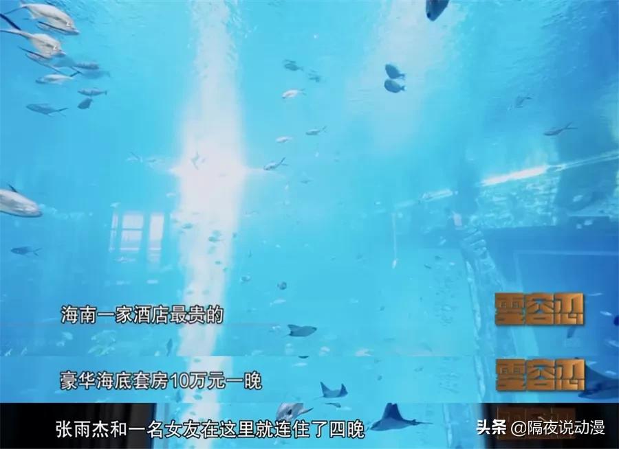 8700万的青眼白龙介绍,8700万的青眼白龙后续