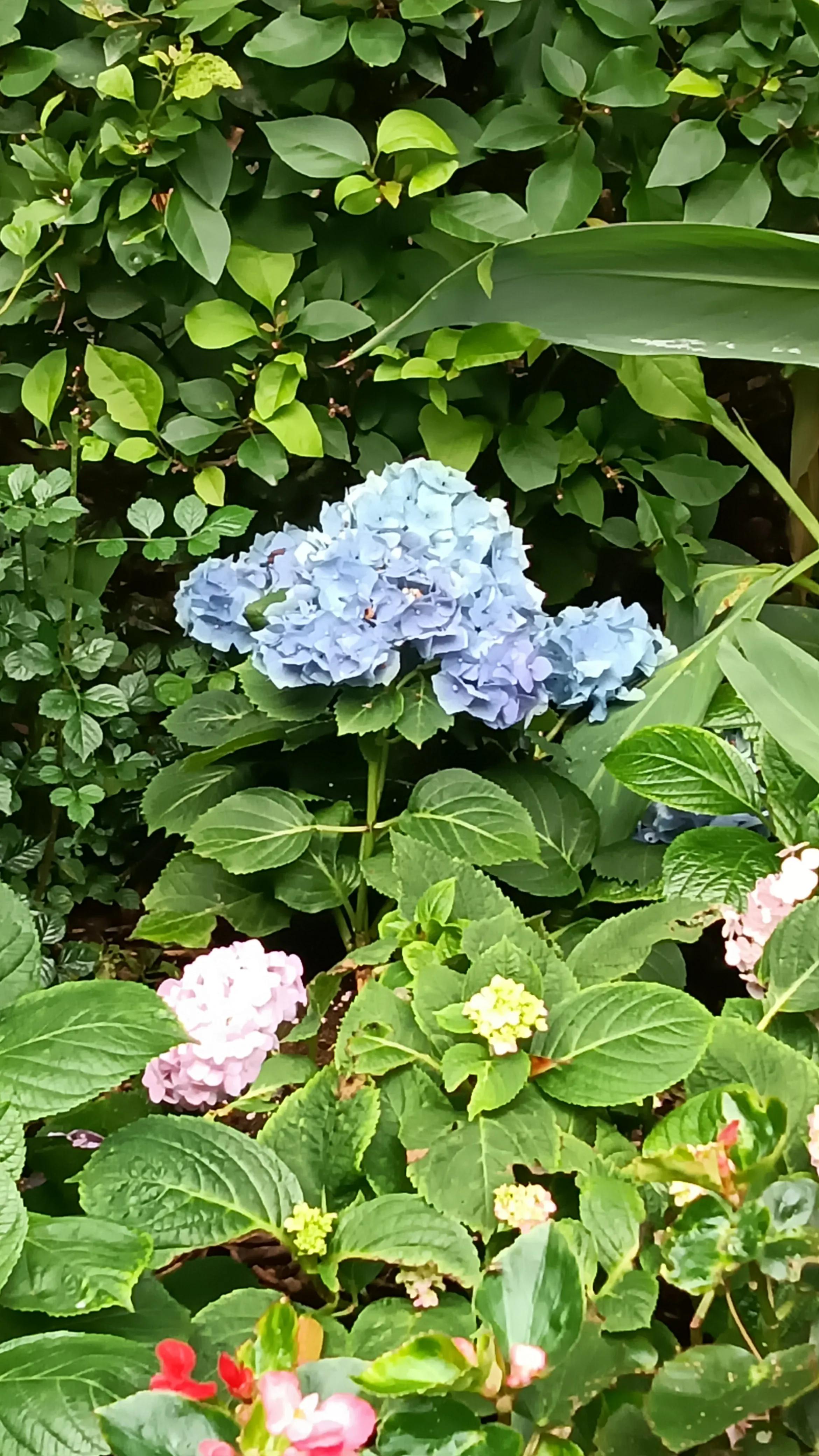 骞垮窞鏃呮父鎺ㄨ崘鏀荤暐,骞垮窞鏃呮父鎺ㄨ崘缇庨