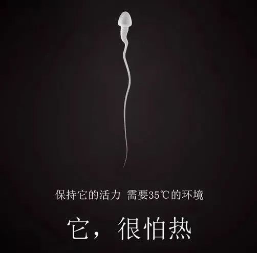 和它的相处，就像老友一般舒适！穿上这条*裤内**，尽享舒爽！