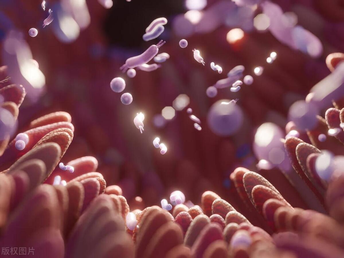 胸部长痣是有什么癌症的前兆吗,痣越长越大就是癌症的可能吗