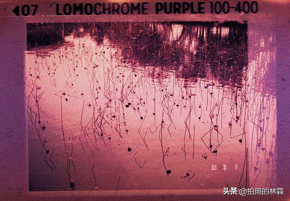 110胶卷/相机保姆级教程/相机选择/胶卷选择/冲扫店铺/实拍样片