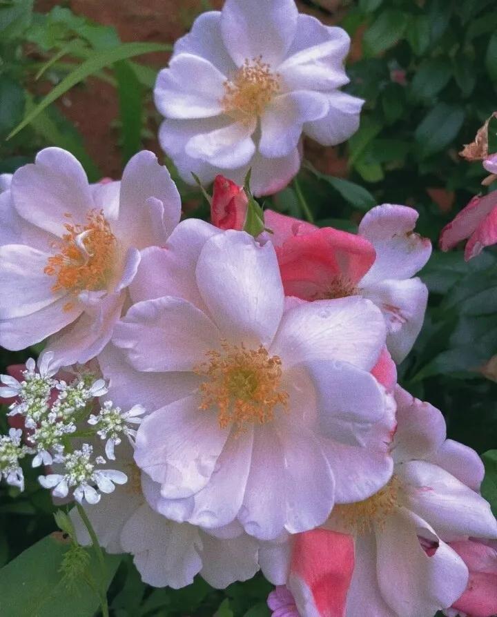 名言经典语录文案摘抄,精致的好运文案短句