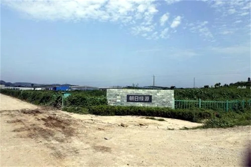 2006年，政府牵头组织租给日方千余亩地，日本人却闲置多年，为何