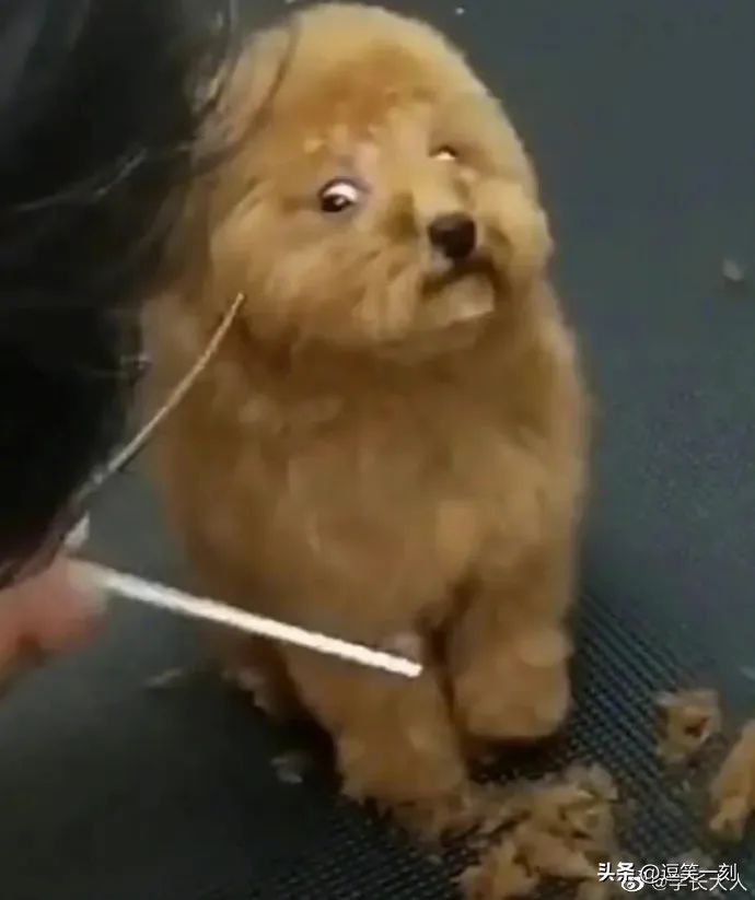 神仙男友的奇葩操作,男友的奇葩脑回路评论区笑不活了