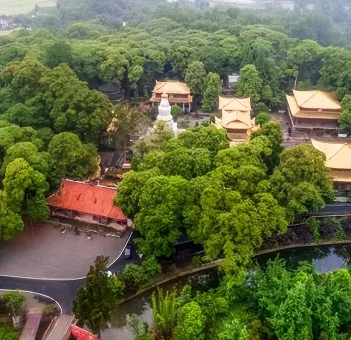 六月一起去邛崃逛古镇看云海日出共赴萤火虫之约