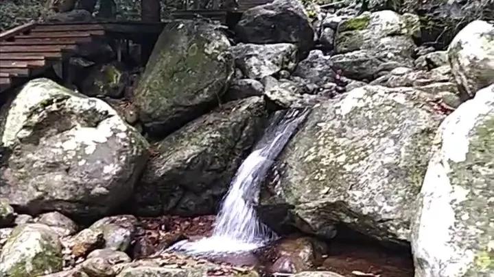 你来过三亚吗用英语怎么说,你来过海口吗