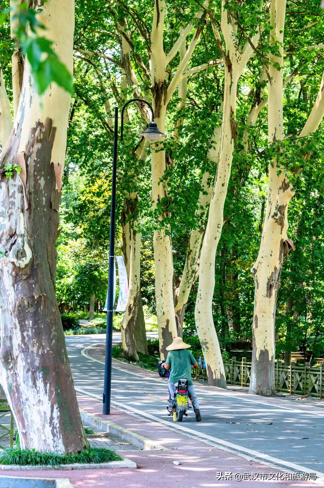 毛孩子变装,毛孩子穿上新衣服了