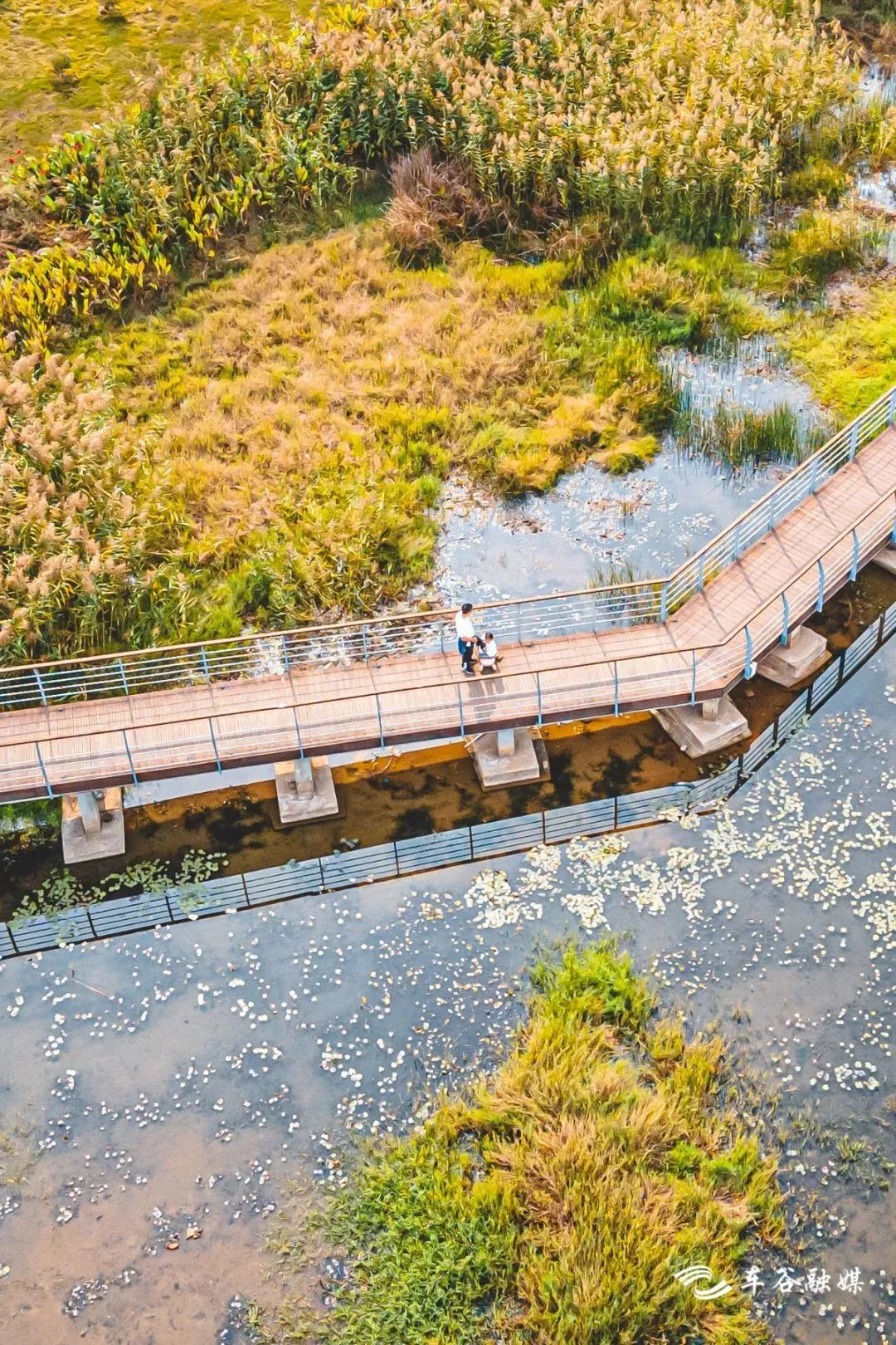 秋日暖阳骑行绿道,骑车绕城绿道值得打卡的推荐