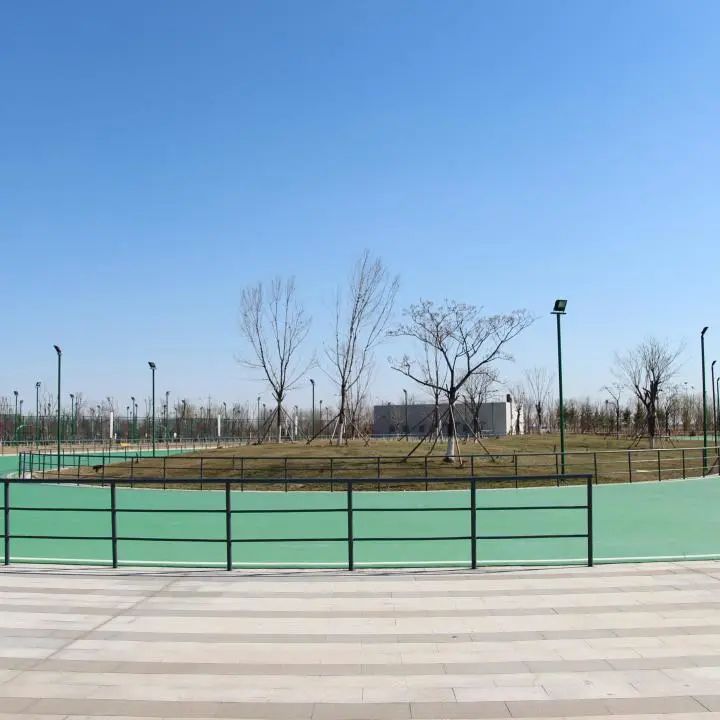 东营奥体中心游泳馆收费标准,东营奥体中心最新动态