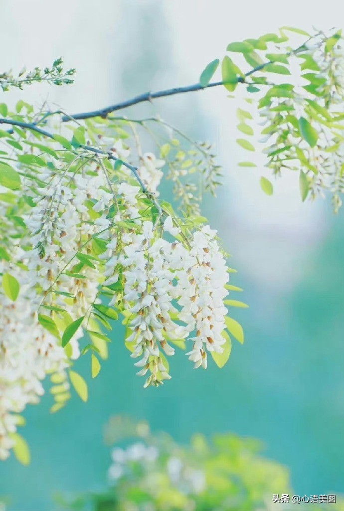 抖音热门文案爱情配图伤感,情感语录抖音配图文案