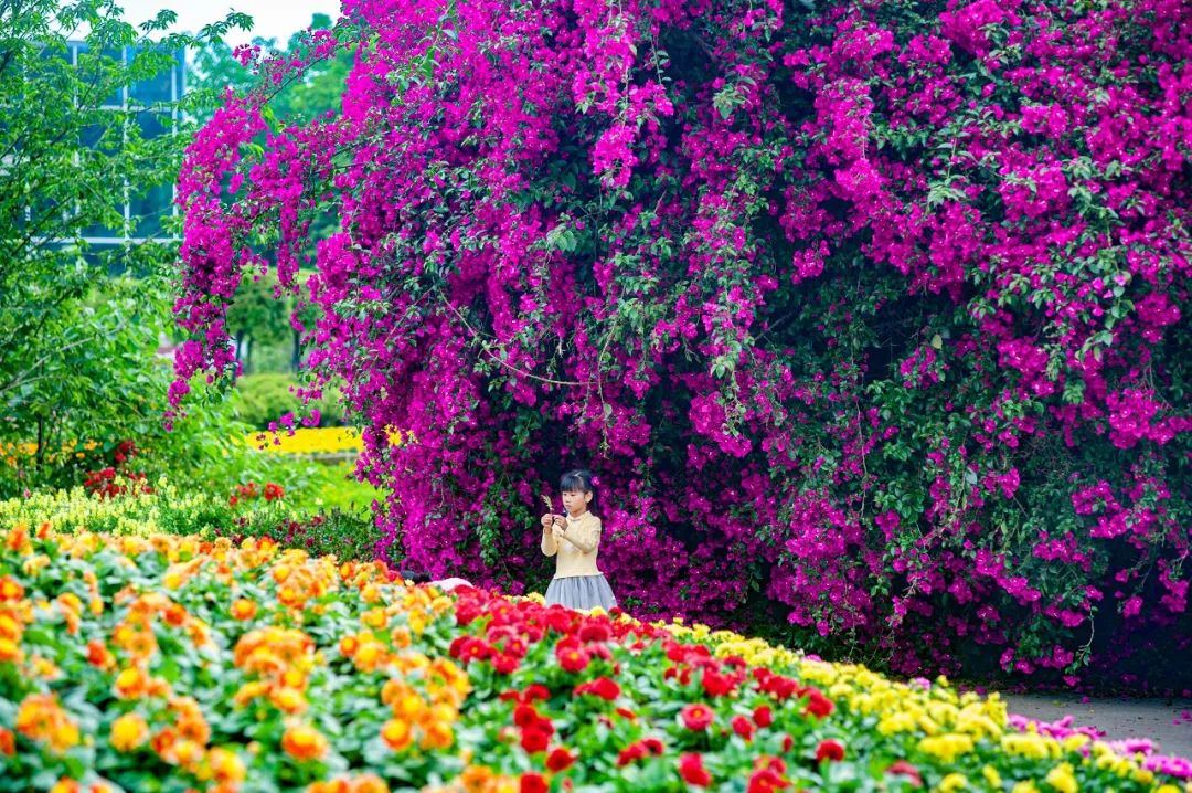 值得带娃去玩的景区推荐,无锡免费景区有哪些地方好玩