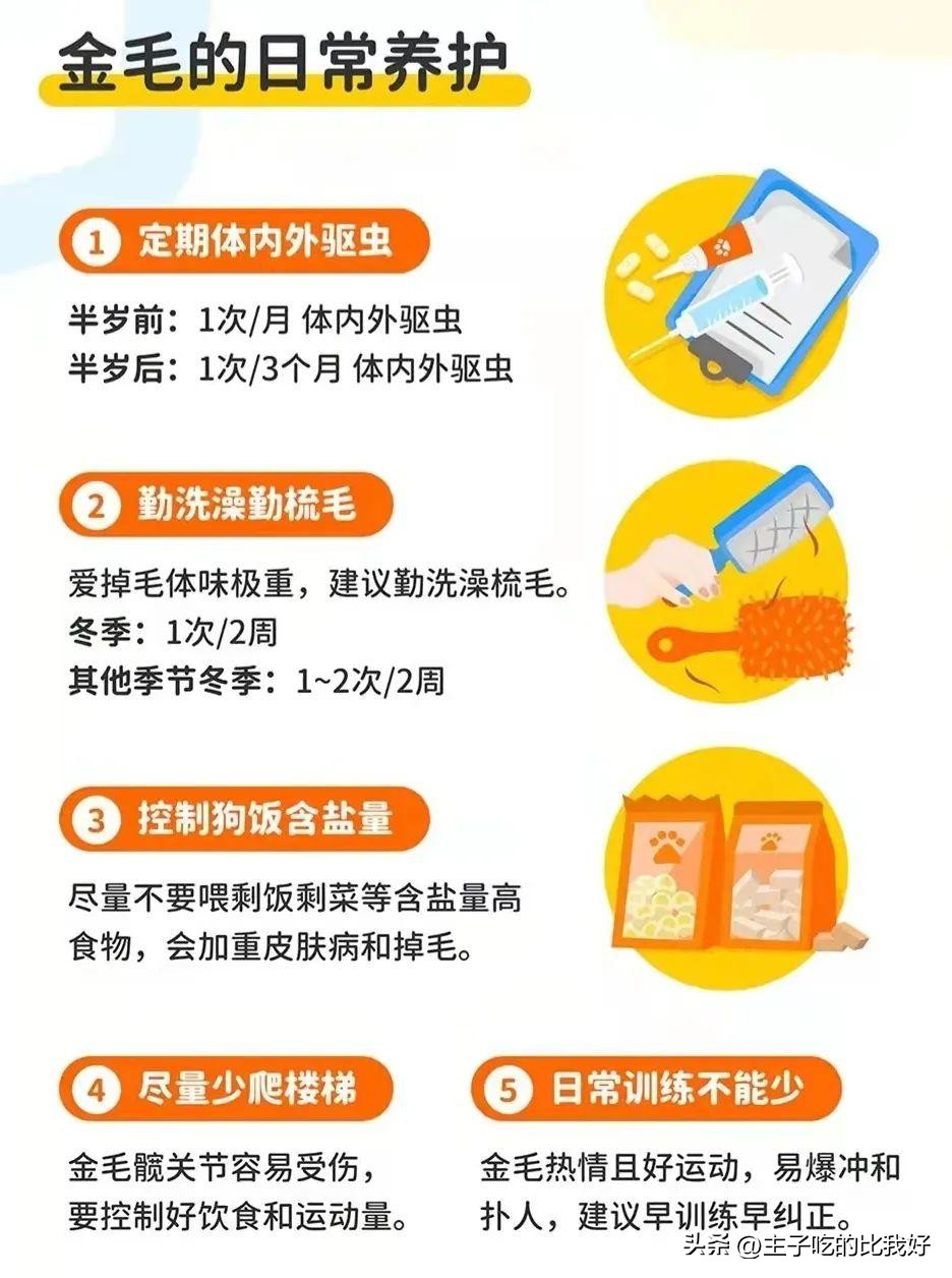 养宠知识问与答,宠兽小知识100条