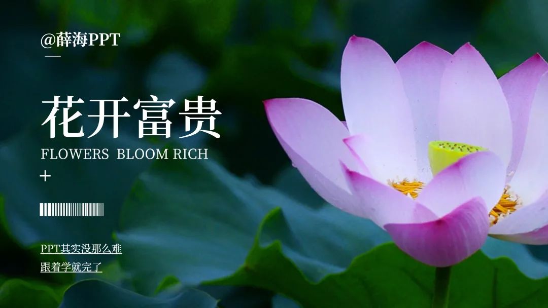 ppt中裁剪视频形状,ppt中裁剪图片大小快捷键